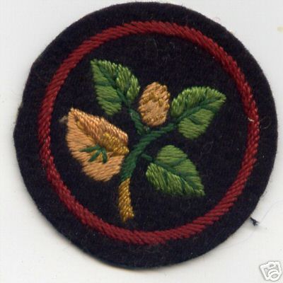http://www.warton.idps.co.uk/patrol_emblems/trees/beech.jpg