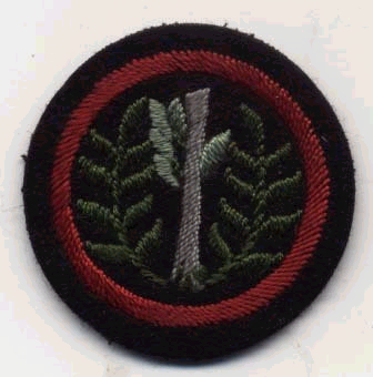 http://www.warton.idps.co.uk/patrol_emblems/trees/rowan.bmp